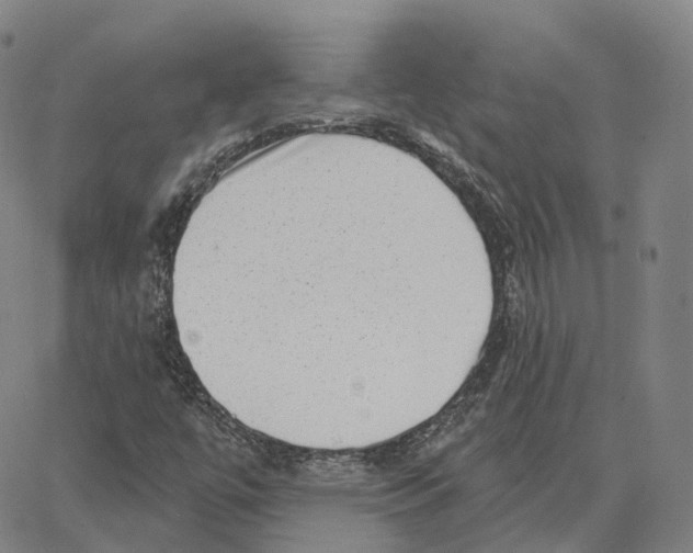 X0000062641447200601181733