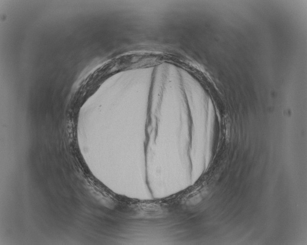 X0000062641448200601181733