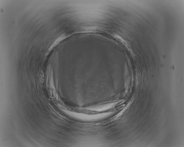 X0000062641449200601181733