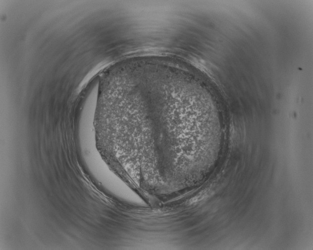 X0000062641450200601181733