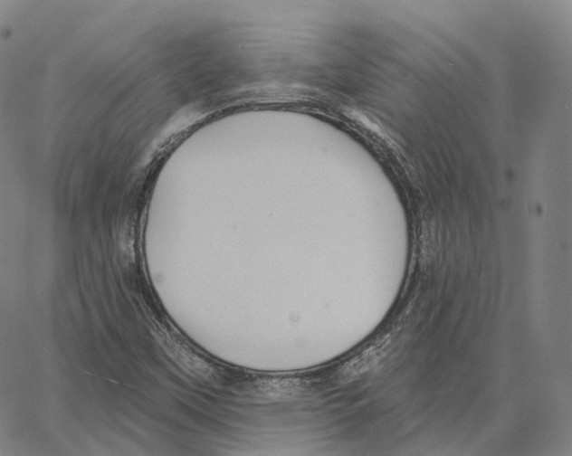 X0000062641451200601181733