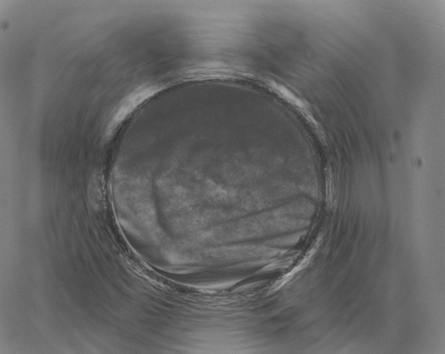 X0000062641453200601181733