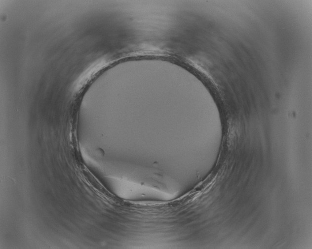 X0000062641455200601181733