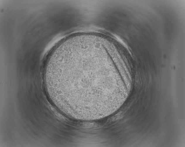 X0000062641456200601181733