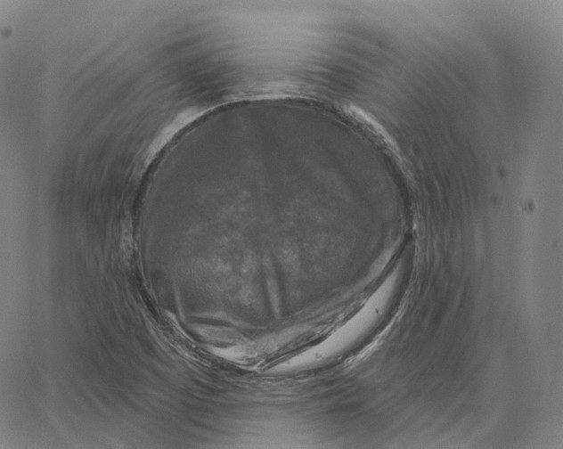 X0000062641457200601181733