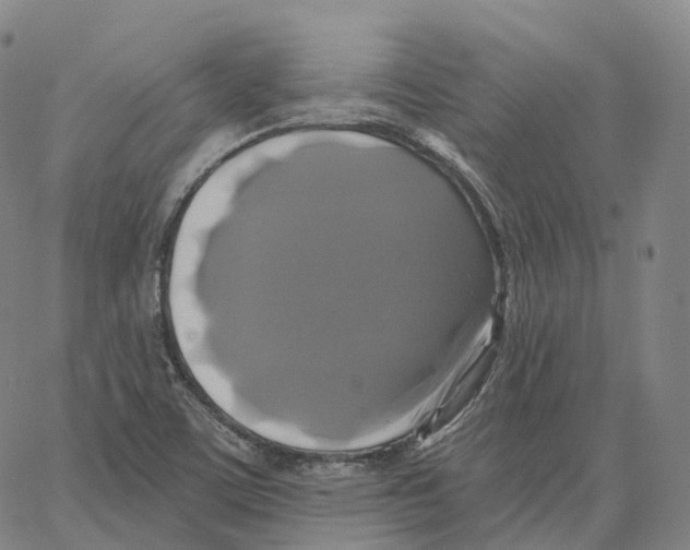 X0000062641459200601181733