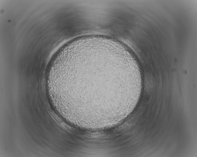 X0000062641460200601181733