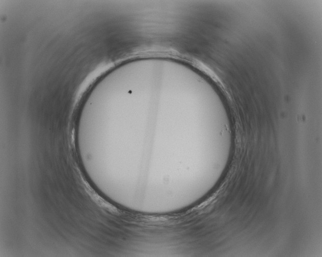 X0000062641462200601181733