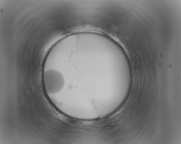 X0000062641463200601181733