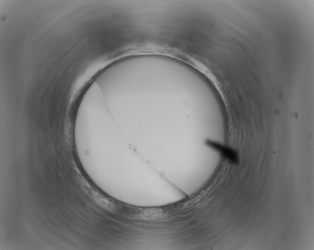 X0000062641464200601181732