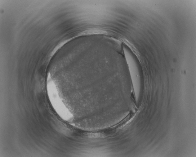 X0000062641465200601181732