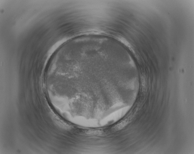 X0000062641466200601181732