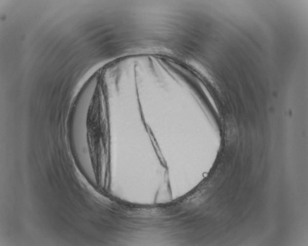 X0000062641468200601181732