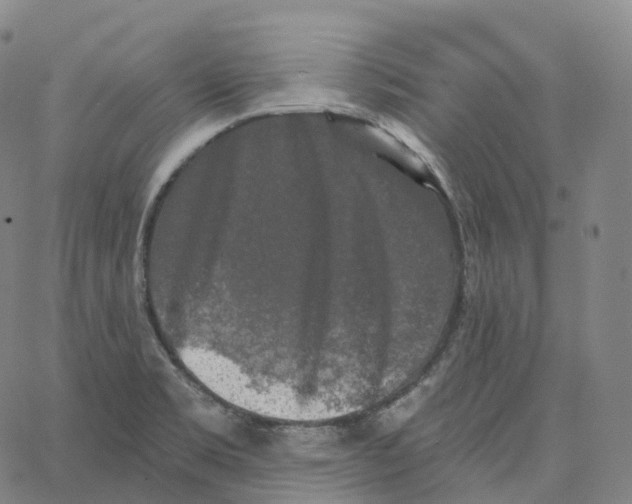 X0000062641469200601181732