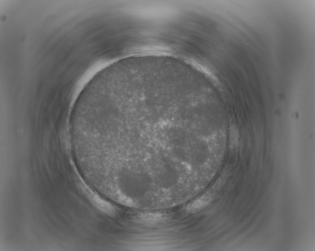 X0000062641470200601181732