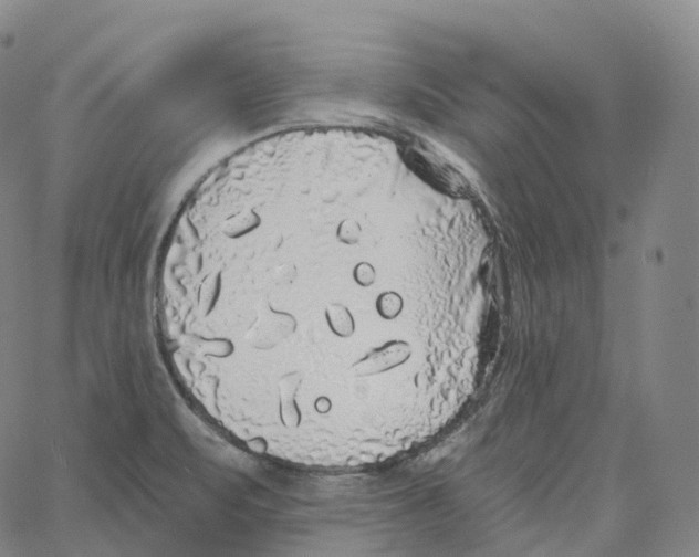 X0000062641471200601181732