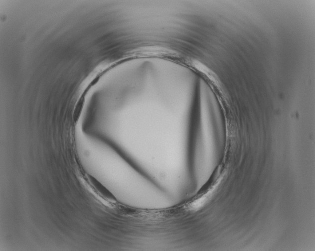 X0000062641473200601181732