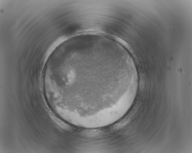 X0000062641474200601181732