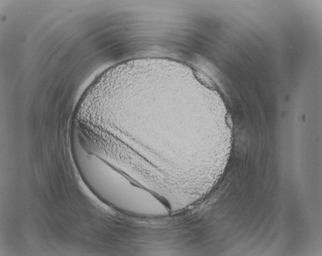 X0000062641476200601181732