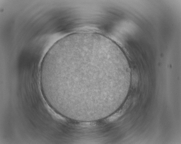 X0000062641478200601181732