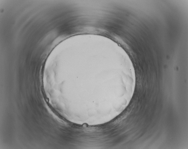 X0000062641479200601181732