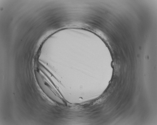 X0000062641480200601181732