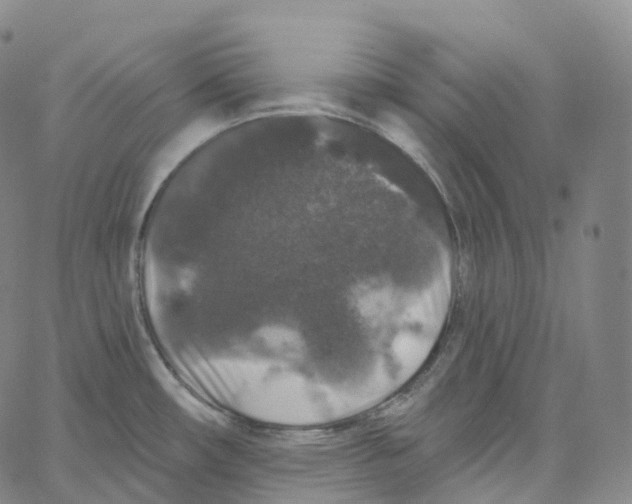 X0000062641482200601181732