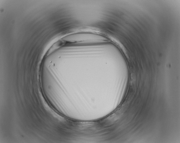 X0000062641483200601181732