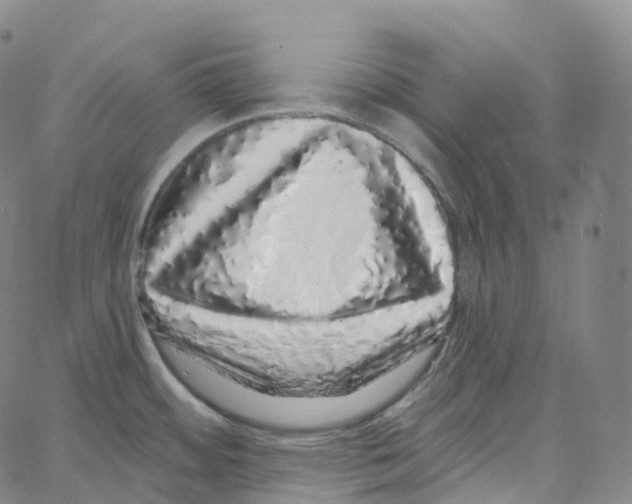 X0000062641484200601181732