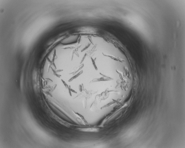 X0000062641487200601181732