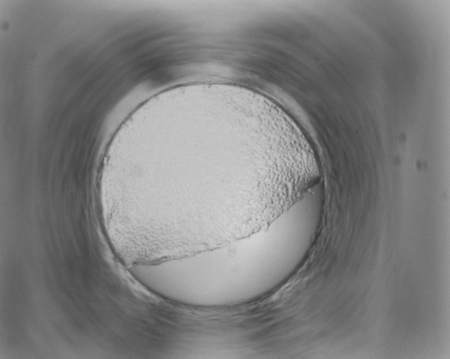 X0000062641488200601181732