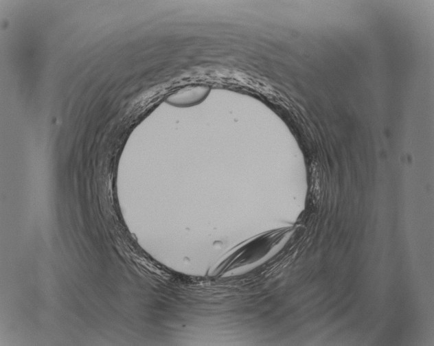 X0000062641489200601181731