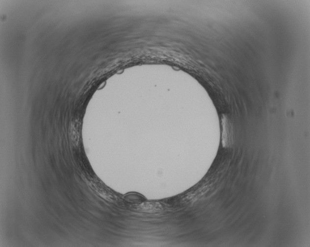 X0000062641491200601181731