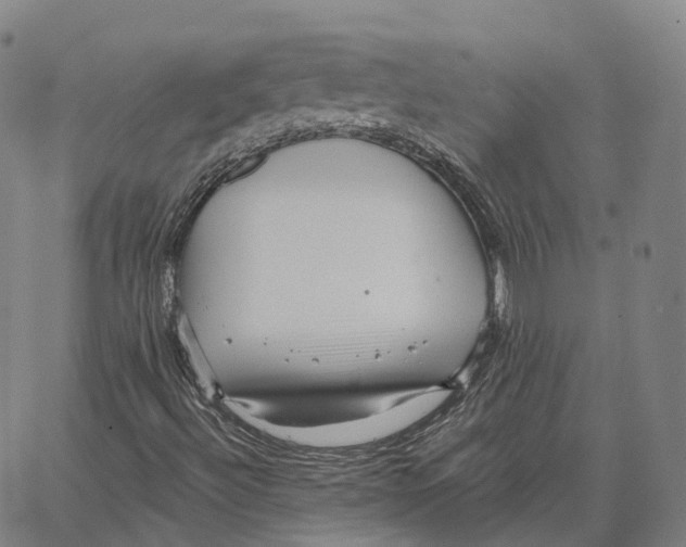 X0000062641492200601181731