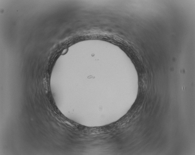 X0000062641493200601181731