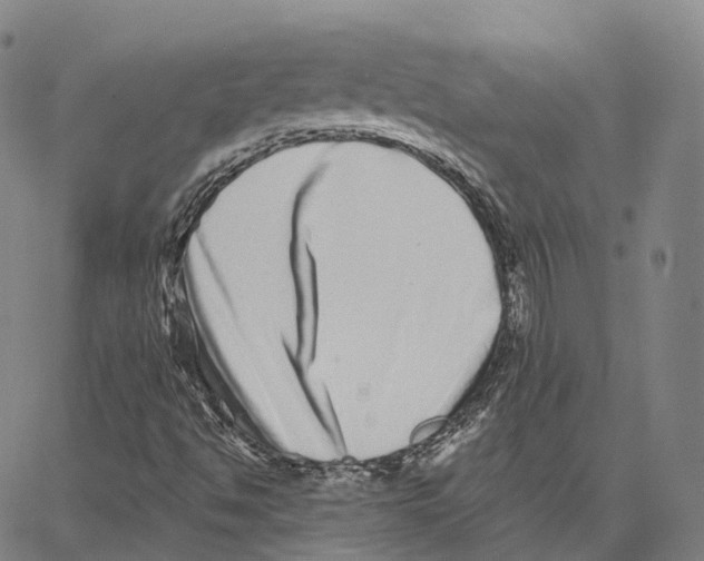 X0000062641494200601181731