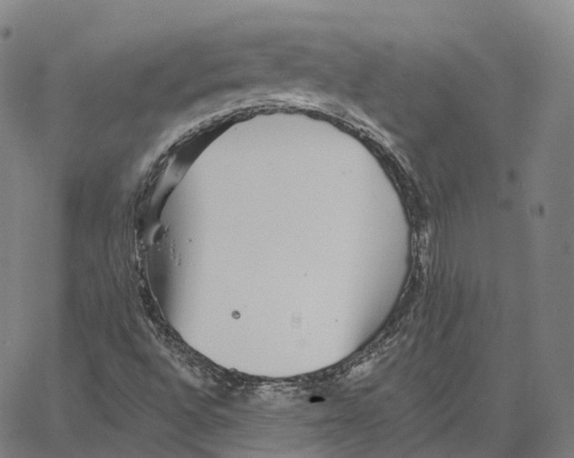 X0000062641496200601181731