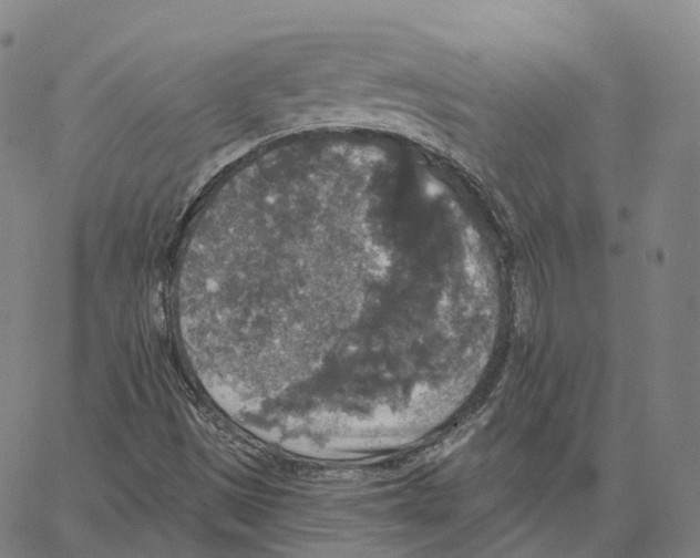 X0000062641497200601181731