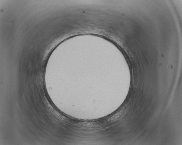 X0000062641500200601181732