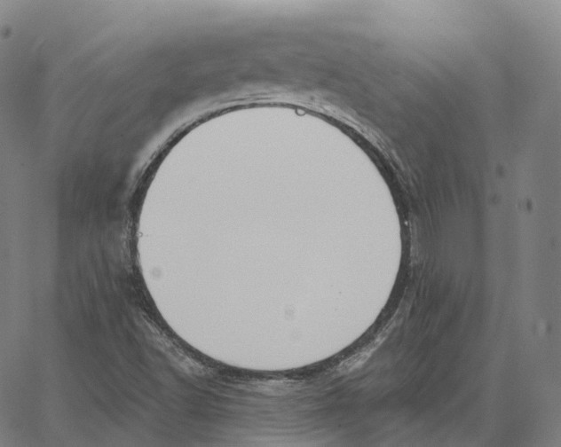 X0000062641502200601181732