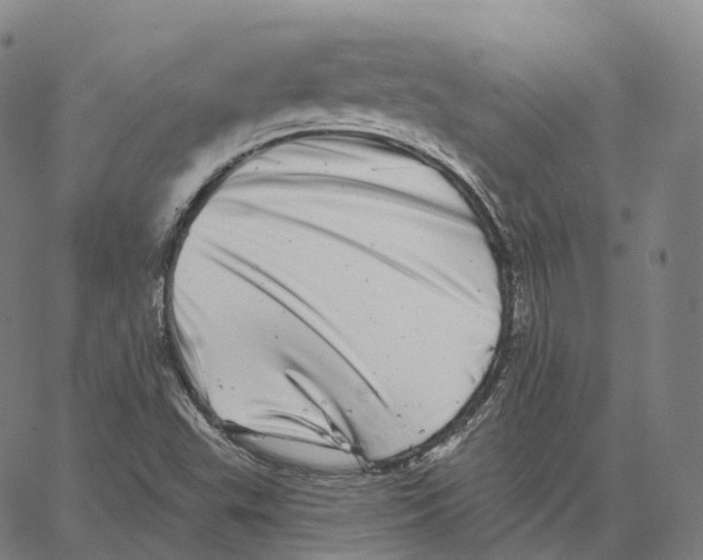 X0000062641503200601181732