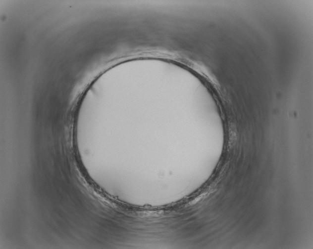 X0000062641504200601181732