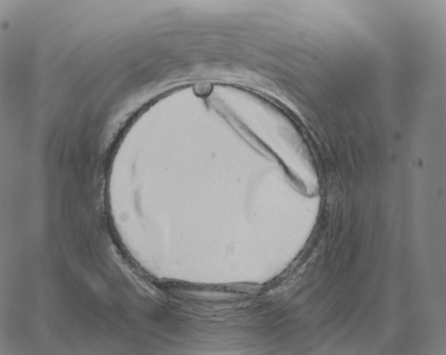 X0000062641507200601181732