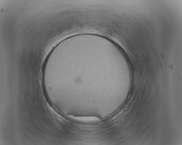 X0000062641508200601181732