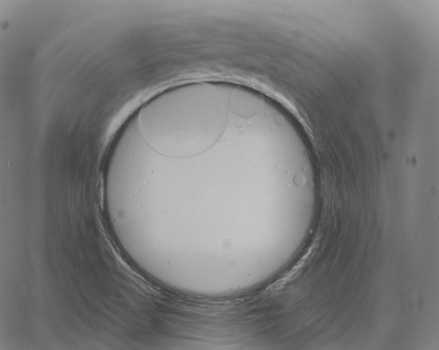 X0000062641509200601181732