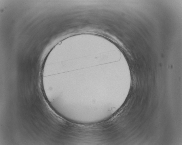 X0000062641512200601181732