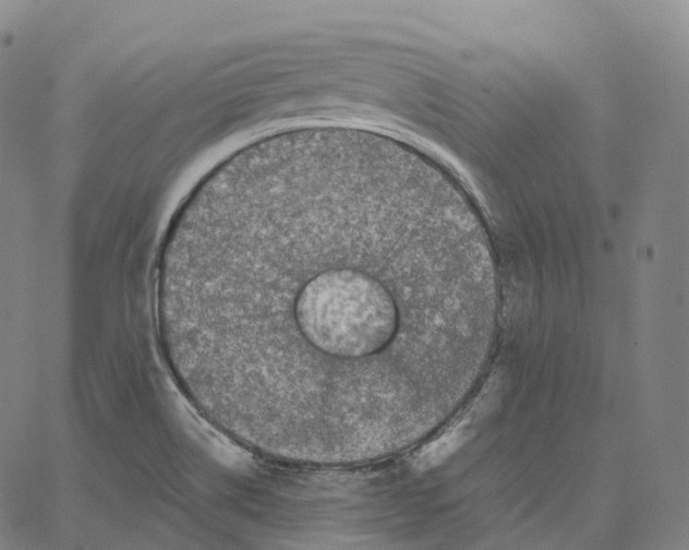 X0000062641514200601181732