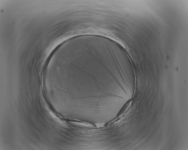 X0000062641515200601181732