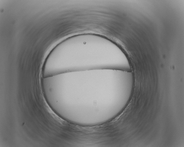 X0000062641516200601181732