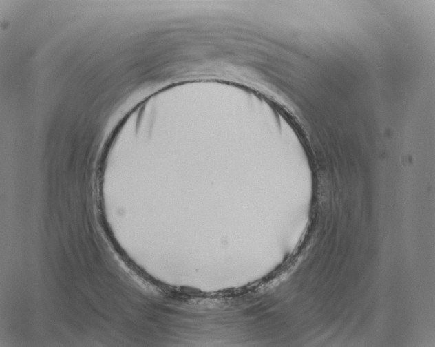 X0000062641517200601181732